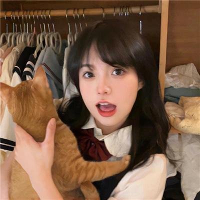 双龙会粤语